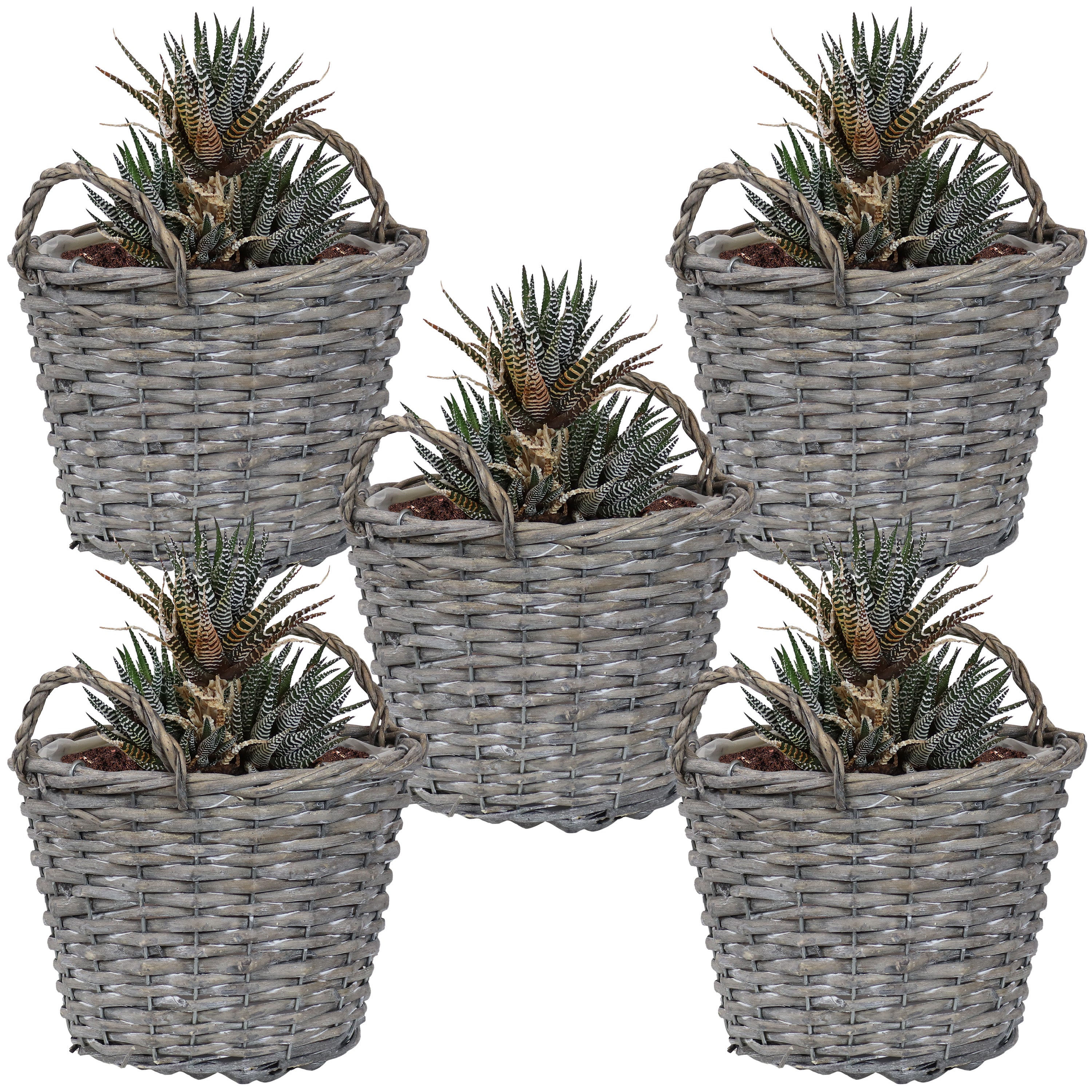 Sunnydaze Set of 5 Willow Wicker Basket Planters - Natural Rustic Decor for Indoor/Outdoor Plants, Flowers & Home Decor - Perfect for Patio, Garden, Porch & Farmhouse Style