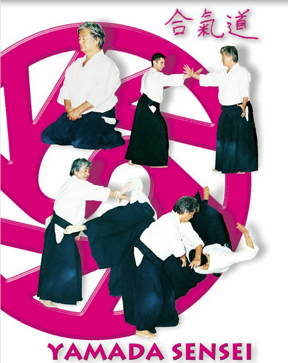 Yoshimitsu Yamada Barcelona Aikido Seminar Training DVD - Learn Aikido Techniques & Self-Defense for Martial Arts Practitioners - Perfect for Home Study & Dojo Practice