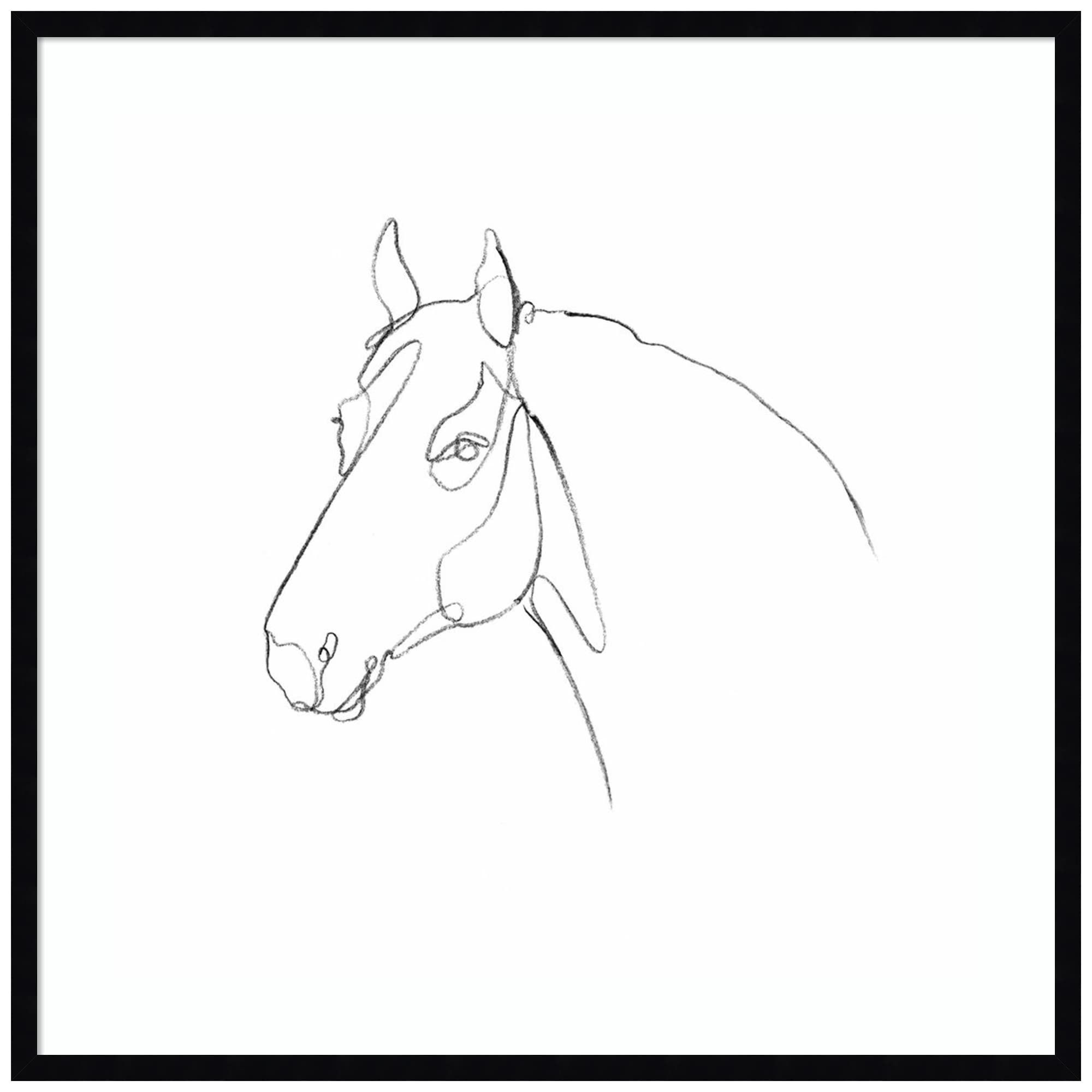 Emma Scarvey Equine Pencil Contour III Wall Art Print - 33x33 Inch Framed Horse Drawing in Svelte Noir Black - Perfect for Living Room, Office or Equestrian Home Decor