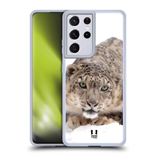 Snow Leopard On Ice
