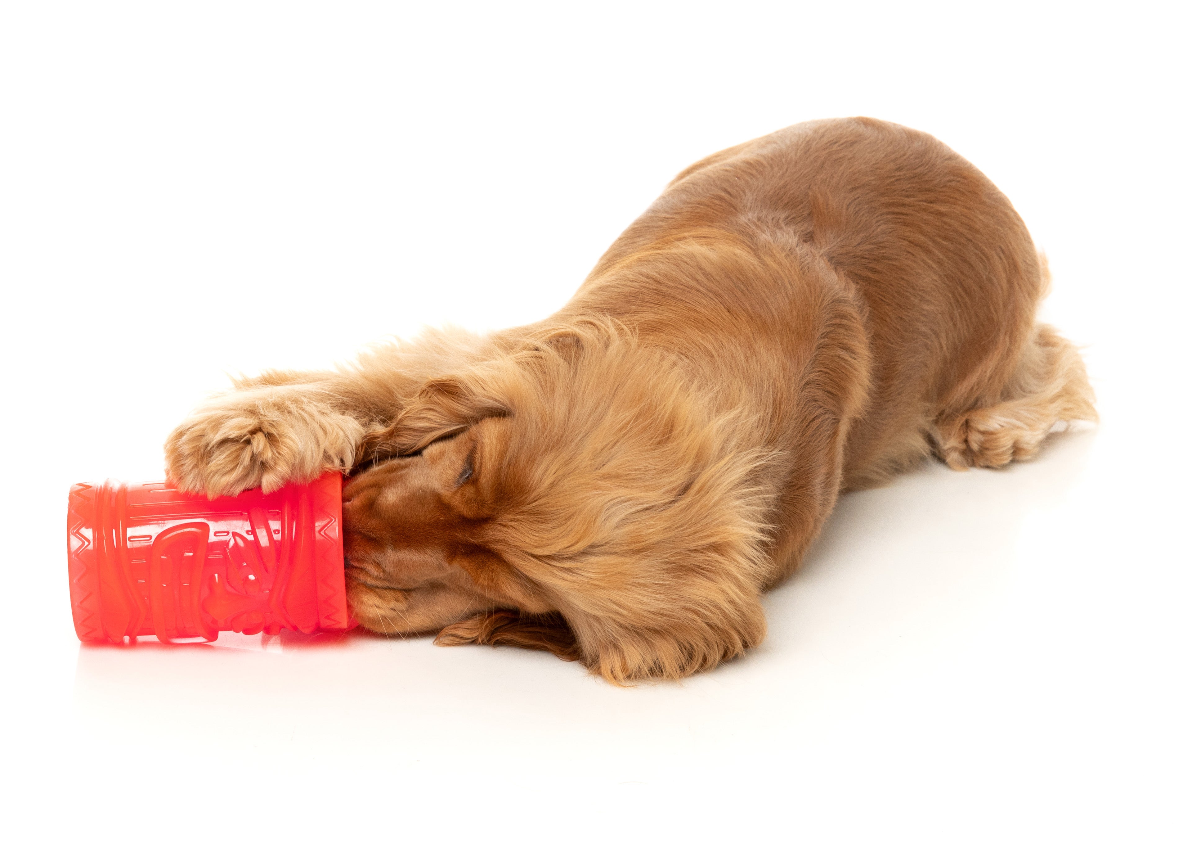 Fuzzyard Interactive Dog Chew Toy with Treat Dispenser - Pina Coolada Freeze Flavor | Durable Chewing Toy for Puppies & Adult Dogs | Perfect for Training, Boredom Relief & Dental Health