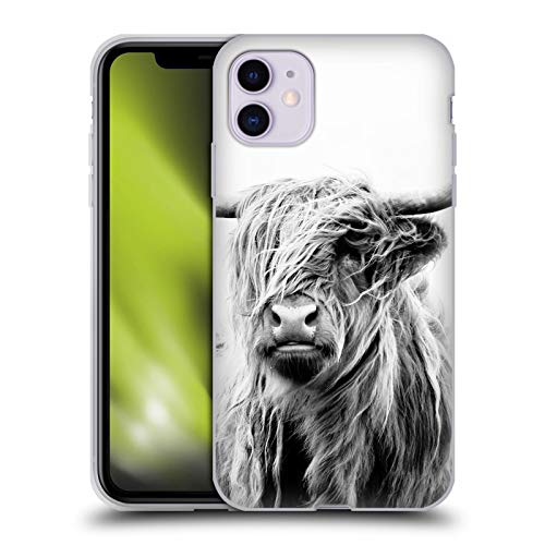 Portrait of a Highland Cow