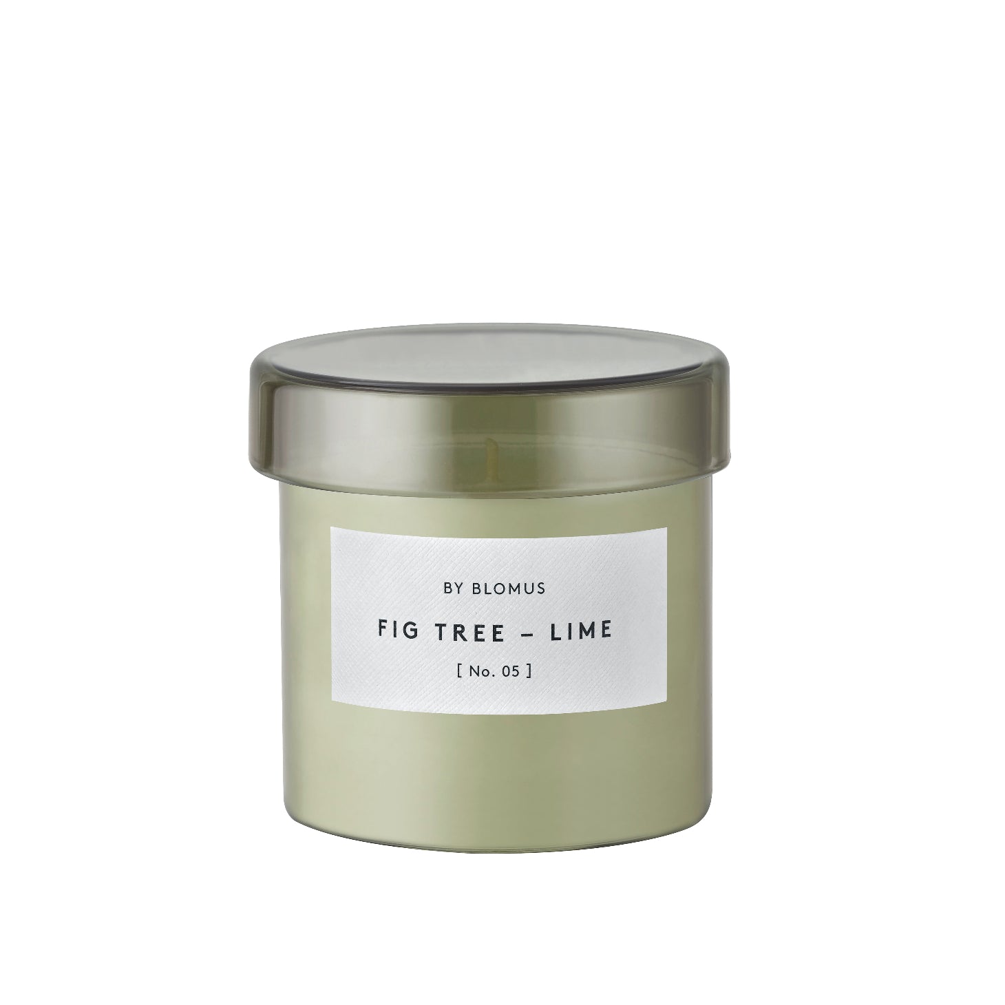 Agave Green - Fig Tree + Lime