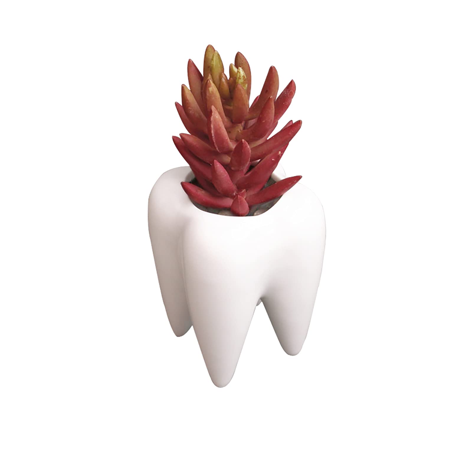 Cute Tooth-Shaped White Ceramic Succulent Planter - Small Cactus Pot & Flower Vase for Home Decor, Creative Pen/Pencil Holder for Office Desk - Perfect for Windowsills, Shelves & Gift Giving (Plants Not Included)