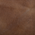 ACORN