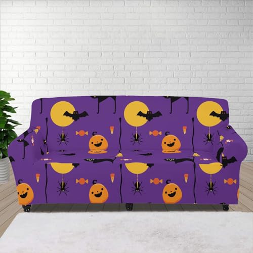 Halloween Cat
