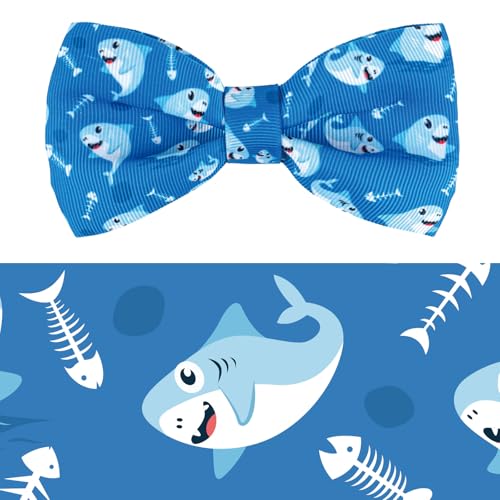 1#Shark