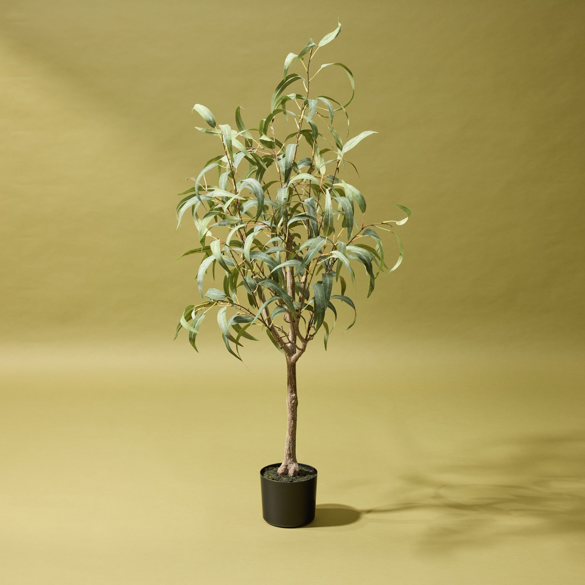 Eucalyptus Willow Tree Lyon Planter - 50 Inch Tall (127cm) - Set of 3 Artificial Plants for Home Decor, Office, or Wedding Centerpieces