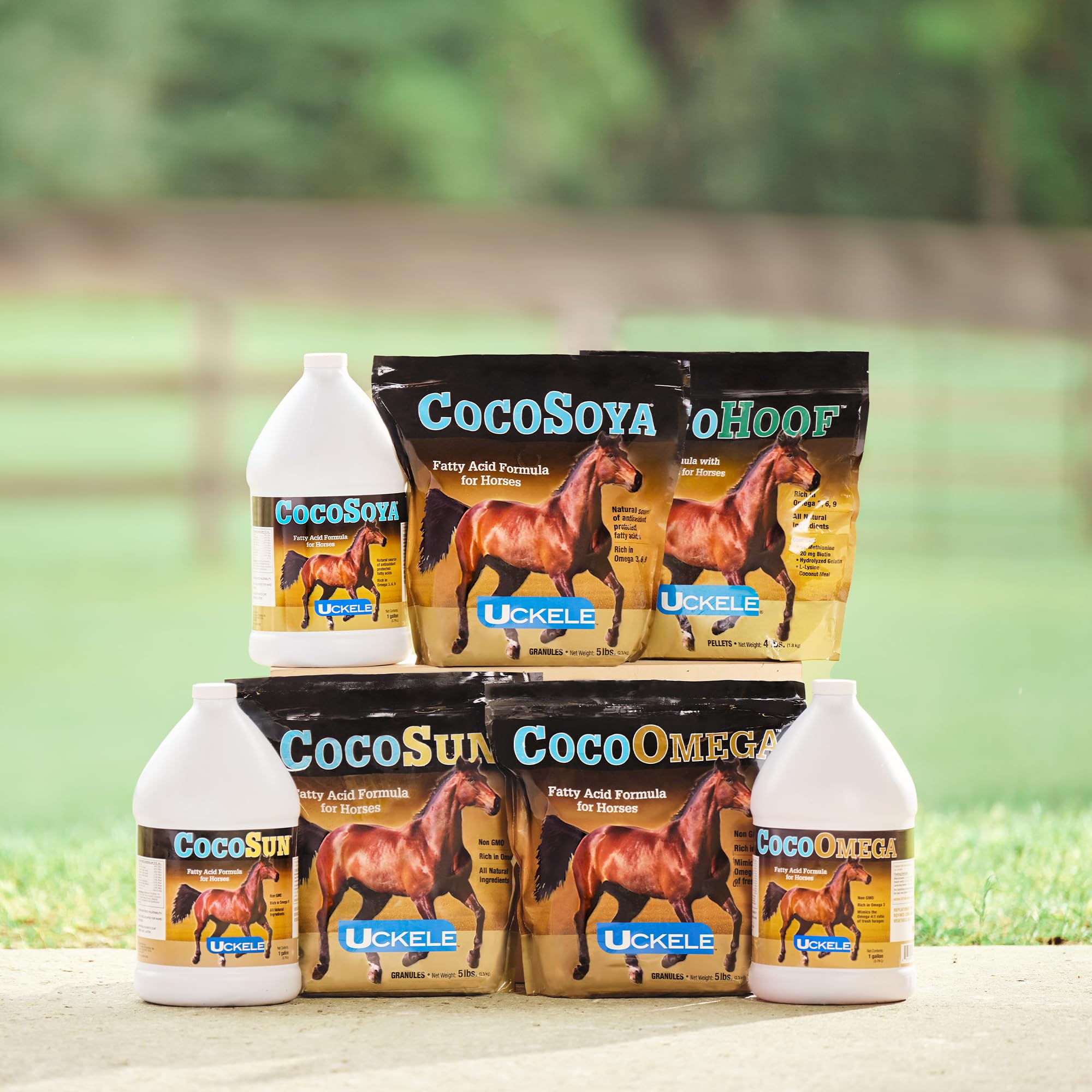 SmartEquine CocoHoof Horse Hoof Supplement with Biotin - 12 LB | Essential Vitamins, Minerals, Amino & Fatty Acids for Stronger Hooves | Perfect for Daily Equine Care & Hoof Health Maintenance
