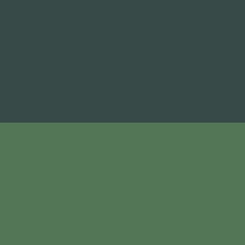 Dark Jungle/Clover