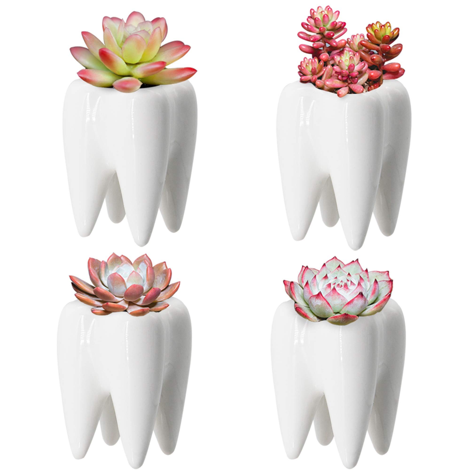 YOFIT Modern Ceramic Flower Pots - Set of 4 White Succulent & Cactus Planters for Home Decor, Office Desk, Garden Bonsai | Indoor Outdoor Decorative Plant Containers