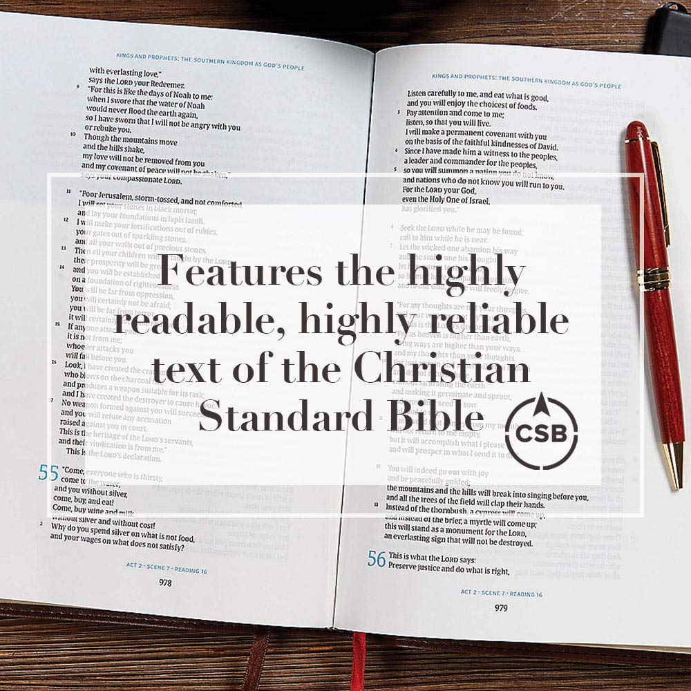 CSB Chronological Bible - 365-Day Reading Plan for Daily Devotion & Study