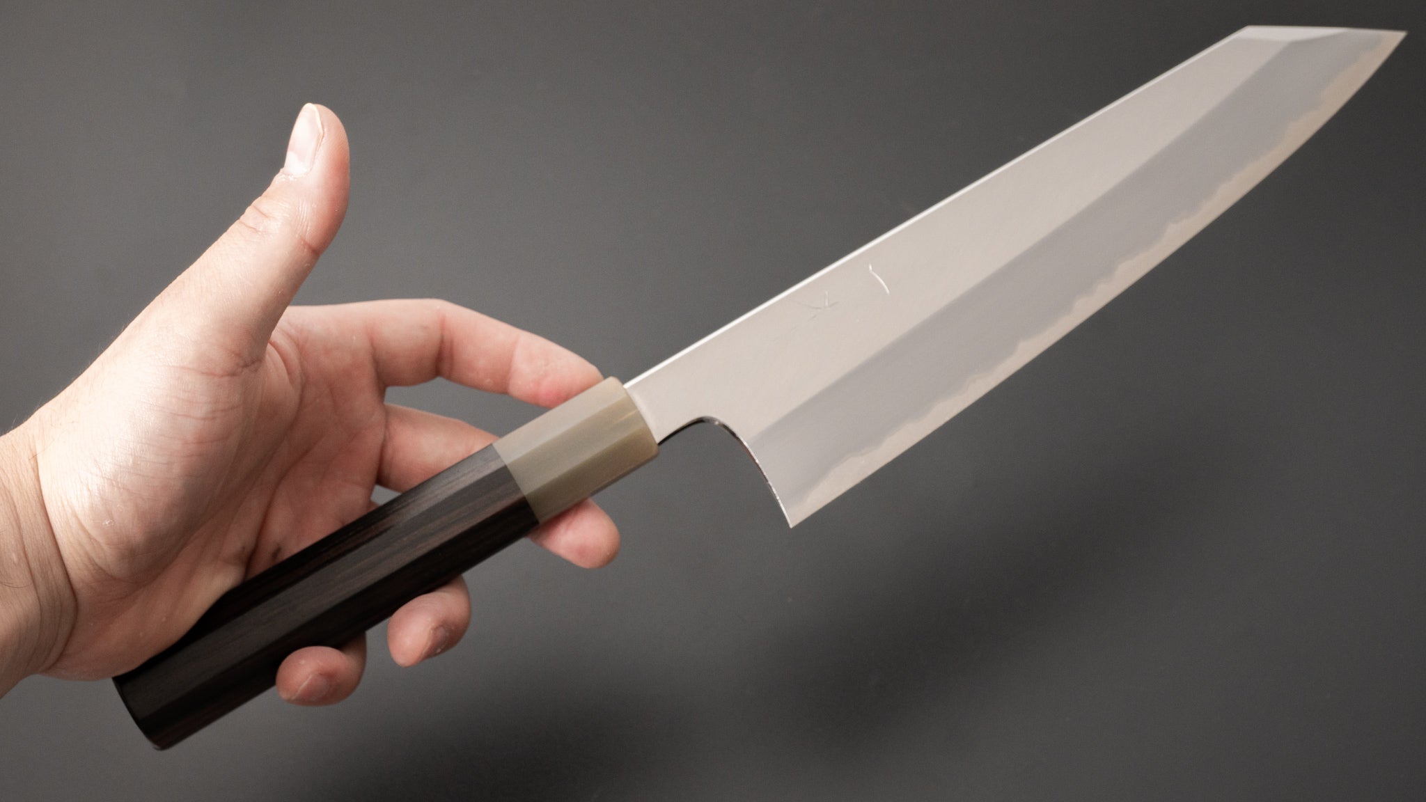 Hitohira Togashi White #1 Stainless Clad Migaki Kiritsuke Gyuto 240mm Japanese Chef Knife with Taihei Makassar Ebony Handle - Perfect for Sushi, Sashimi & Precision Cutting