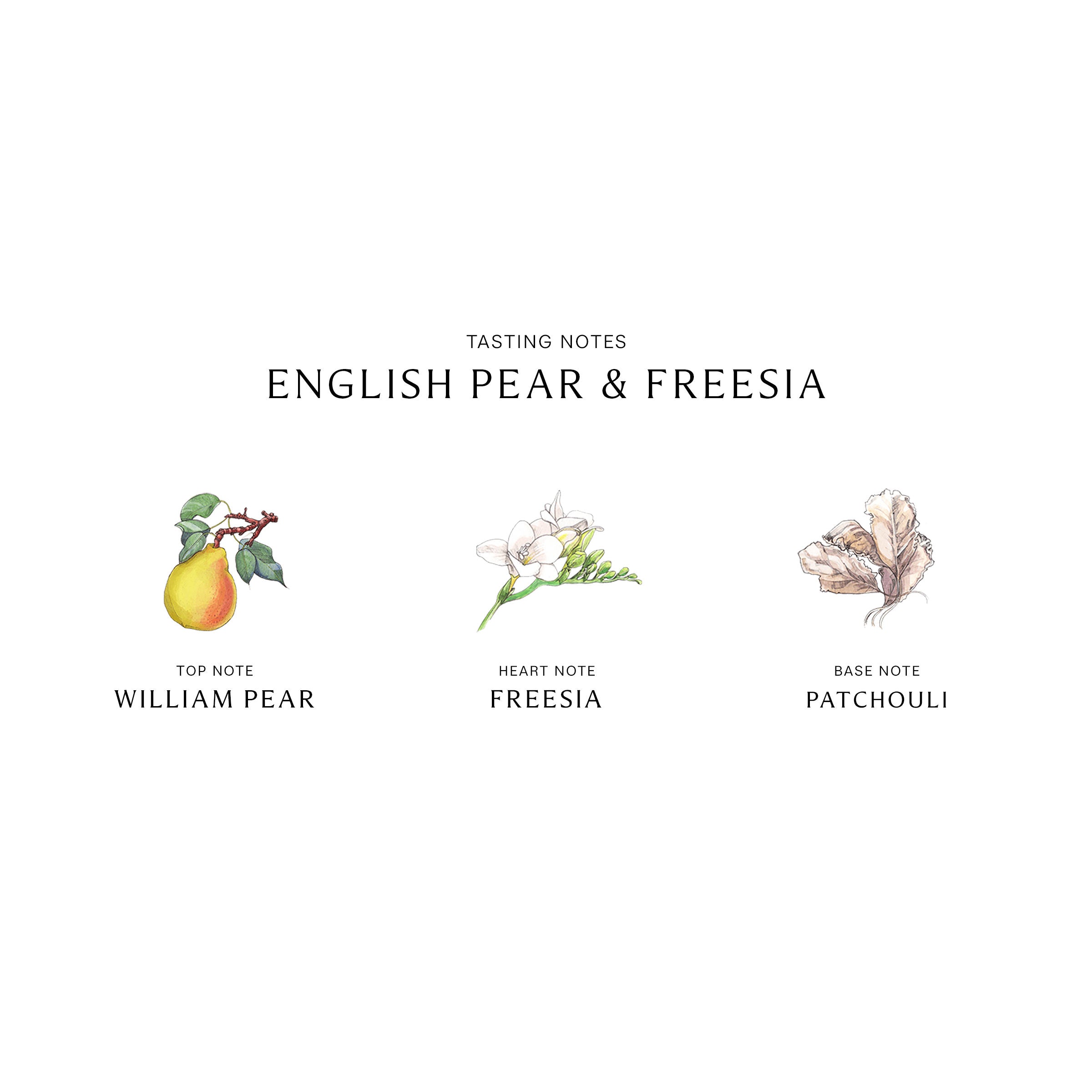 English Pear & Freesia Cologne for Women - Fresh Floral Perfume Spray | Perfect for Daily Wear, Office & Date Nights