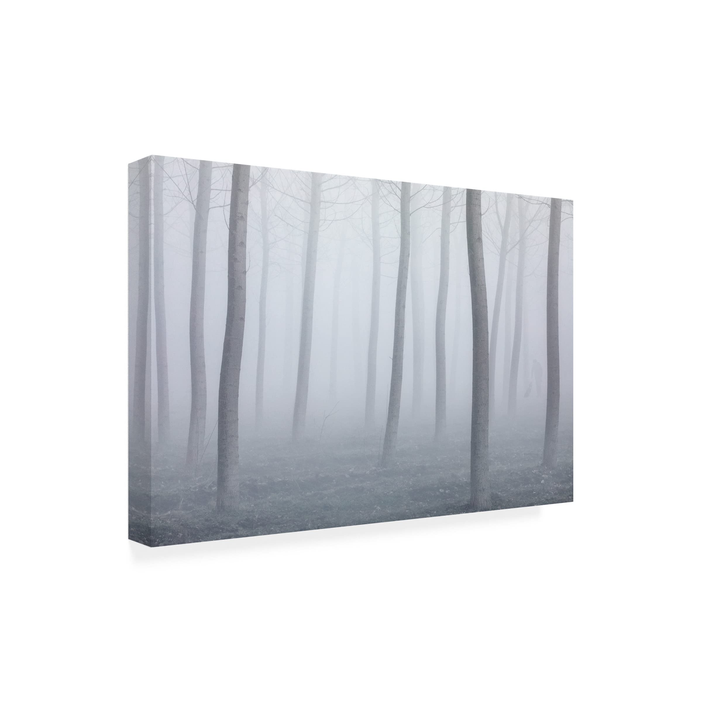Fiorenzo Carozzi 'Into The Fog' Canvas Wall Art Print - Modern Landscape Painting for Living Room, Bedroom & Office Decor