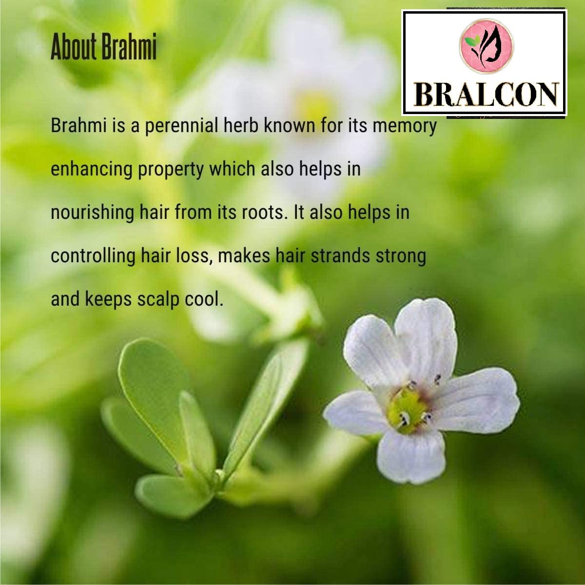 Organic Brahmi Leaf Powder (Bacopa Monnieri) - 100g | 100% Natural Herbal Supplement for Hair Growth & Cleansing | Promotes Healthy Hair Care | Perfect for DIY Hair Masks & Ayurvedic Treatments