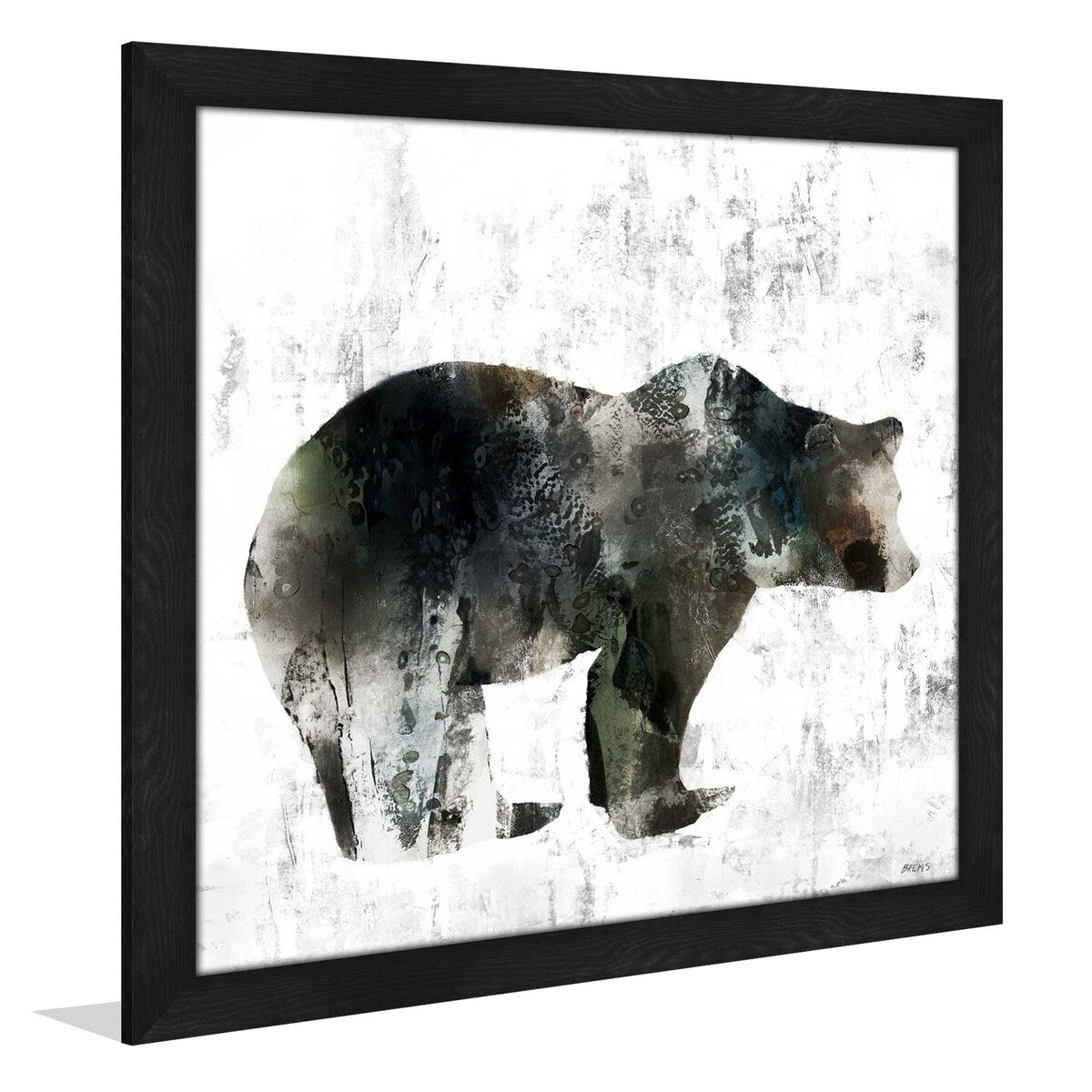 Bear by Scott Brems Print on Acrylic - Premium Wall Art Decor for Home & Office - Perfect for Living Room, Bedroom, or Gift Giving