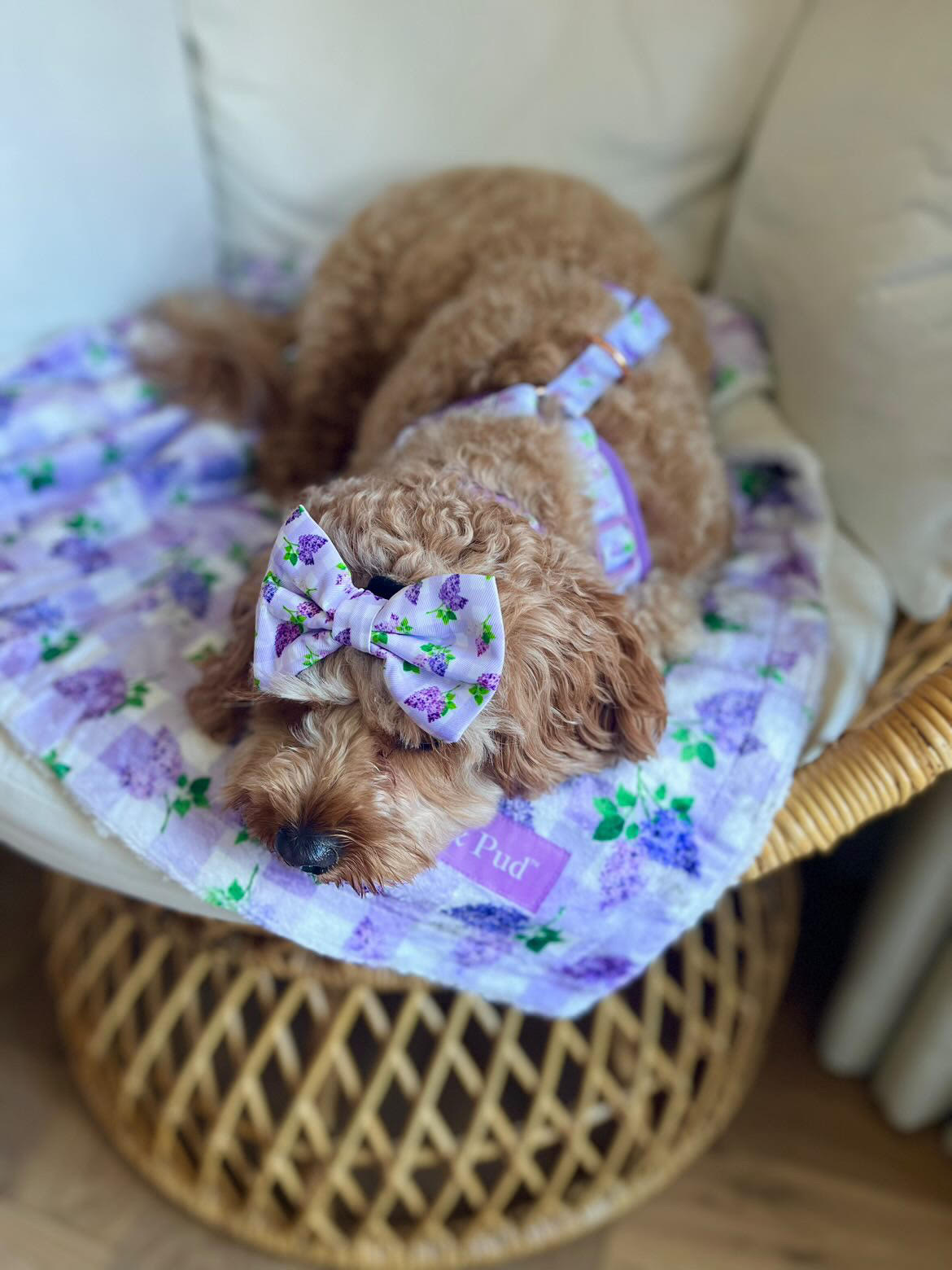 Luxury Gingham Lilac Throw Blanket - Soft & Cozy Plaid Blanket for Bed, Couch, Sofa - Perfect for Home Decor, Gifts, and Relaxation - Coco & Pud