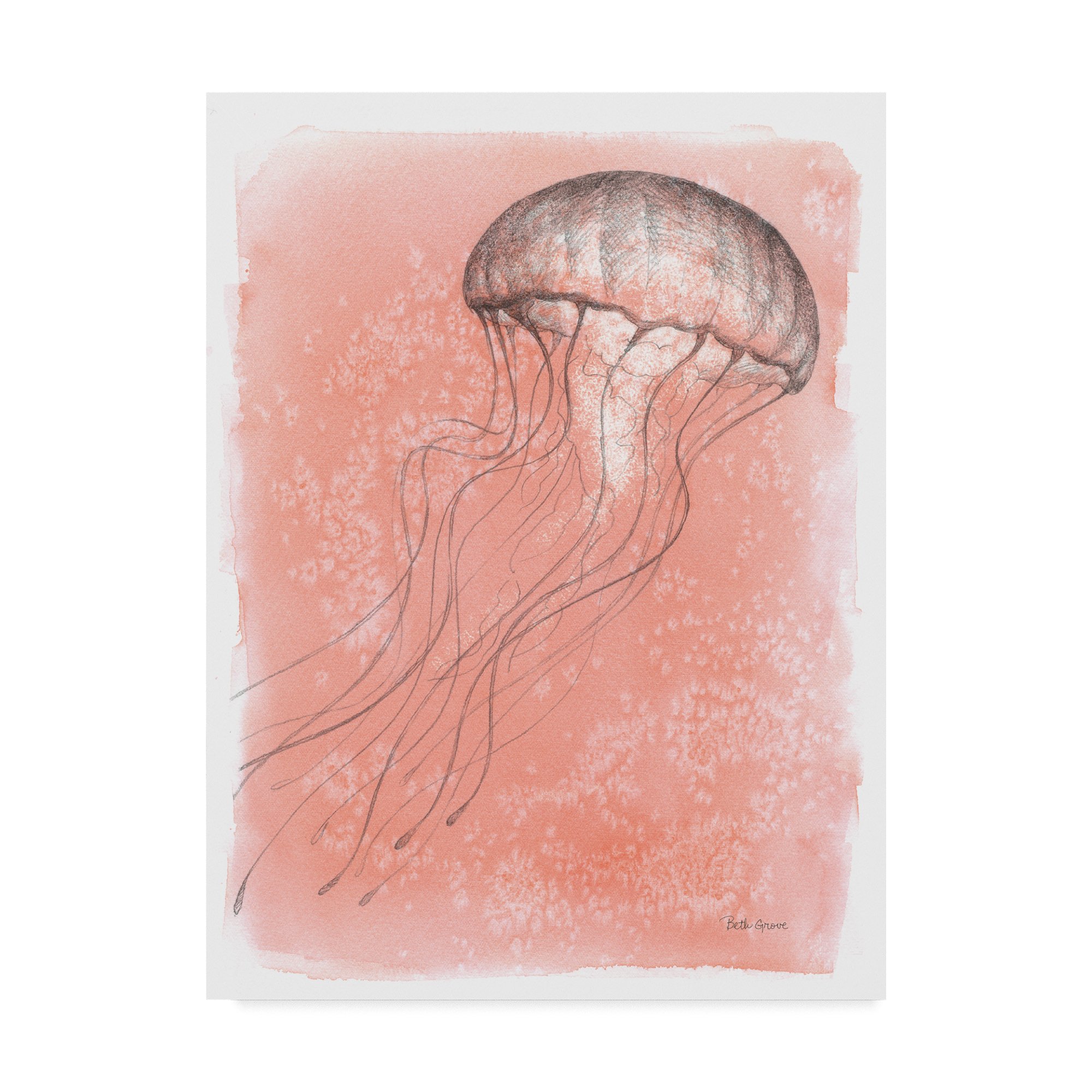 Coastal Sea Life IV by Beth Grove - 35x47 Inch Ocean Themed Wall Art - Perfect for Beach House, Living Room & Coastal Decor