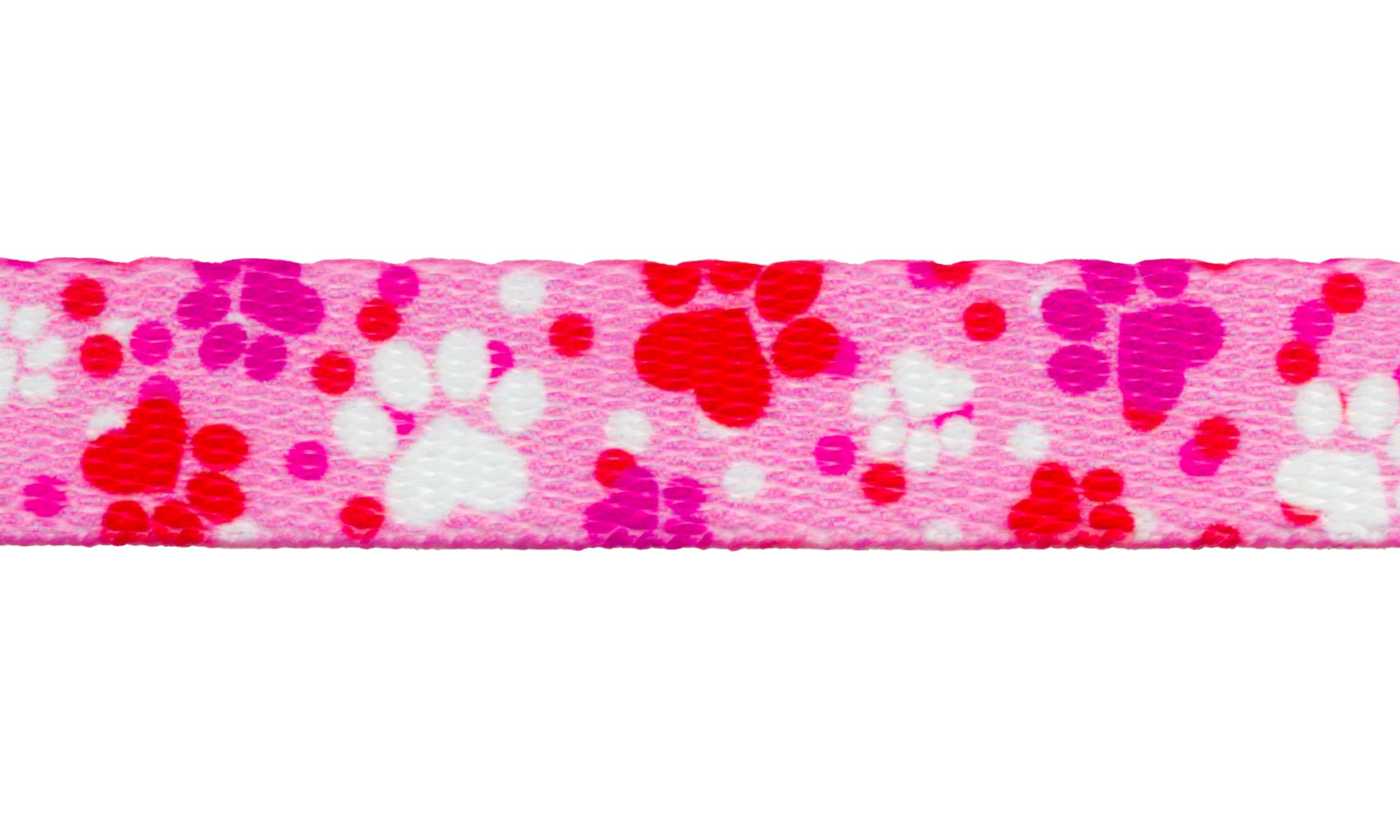Country Brook Design - Puppy Love Polyester Webbing Dog Collar & Leash Set - Durable Pet Accessories for Small to Medium Dogs - Perfect for Daily Walks, Training & Outdoor Adventures
