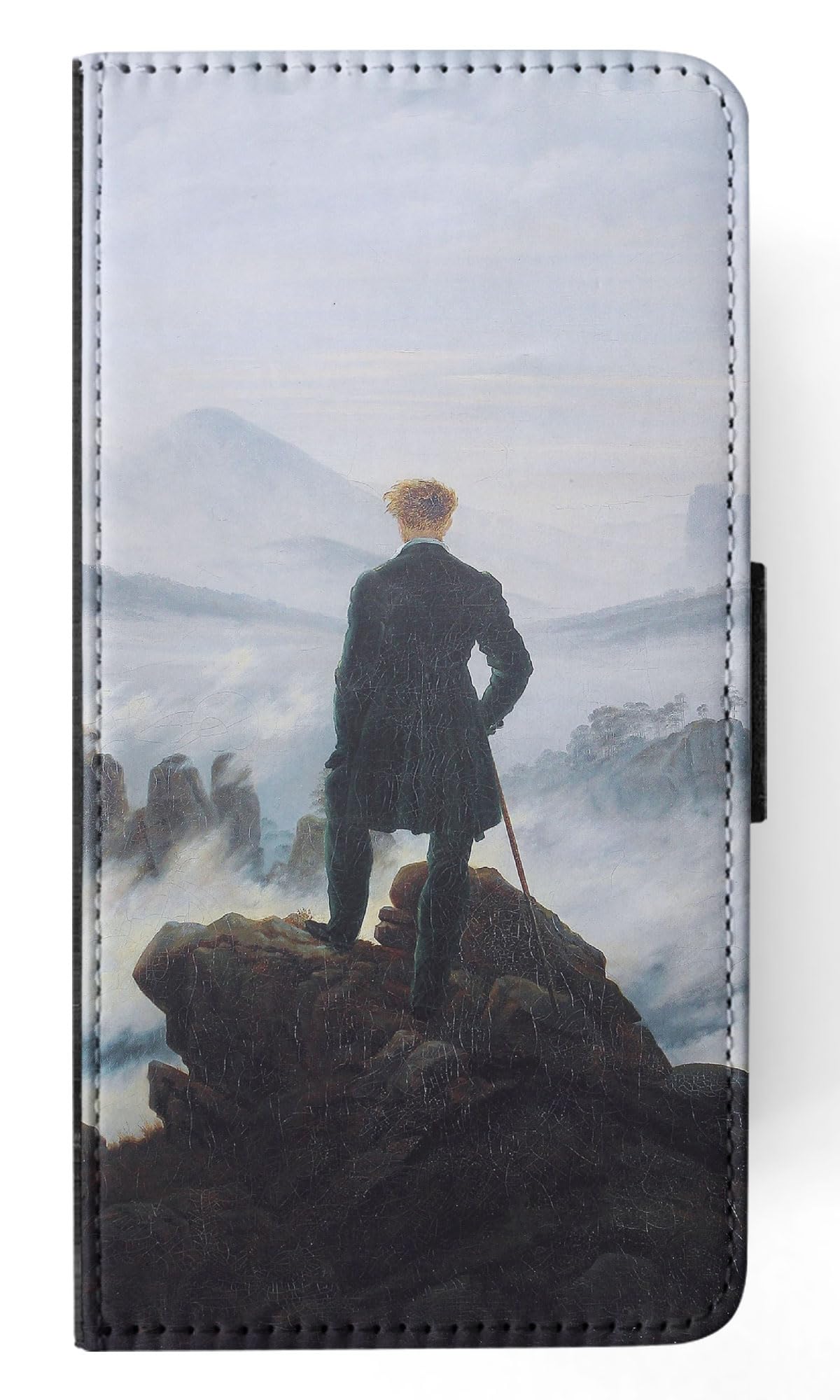 Friedrich Wanderer 