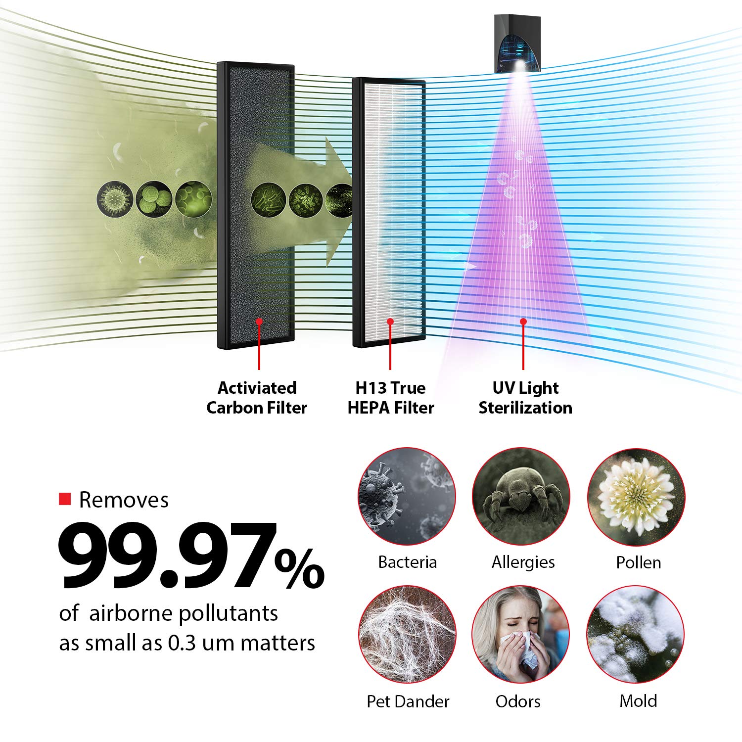Toshiba CAF-W36USW Air Purifier with UV Light Sanitizer - Eliminates Smoke, Dust, Odors, Pollen & Pet Hair - Ideal for Home, Office & Bedroom Use - Black