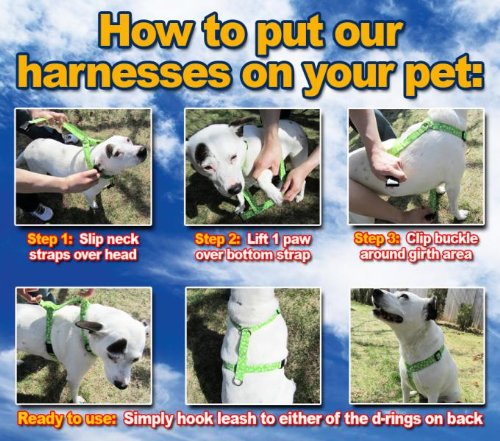 Adjustable Dog Harness with Paws & Bones Design - Premium Brown Pet Harness for Small Medium Large Dogs - Handmade in USA - Perfect for Walking, Training & Outdoor Adventures