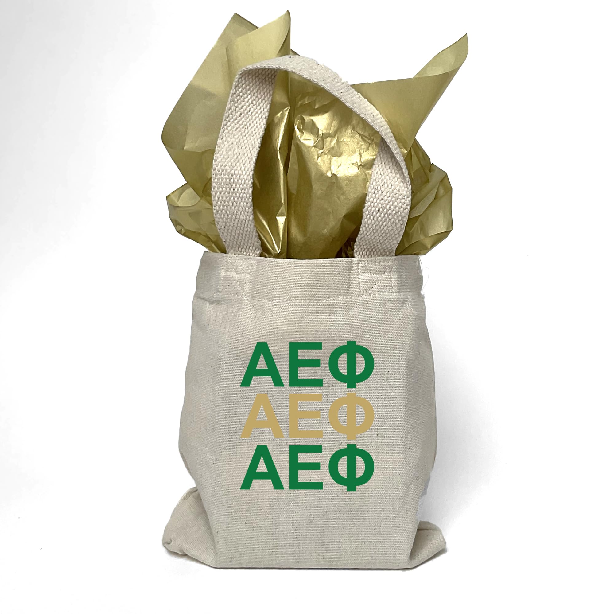 Greek Letter Mini Tote Bag - Sorority Gifts & Goodie Bags for College Students - Perfect for Rush Week, Bid Day & Sisterhood Events