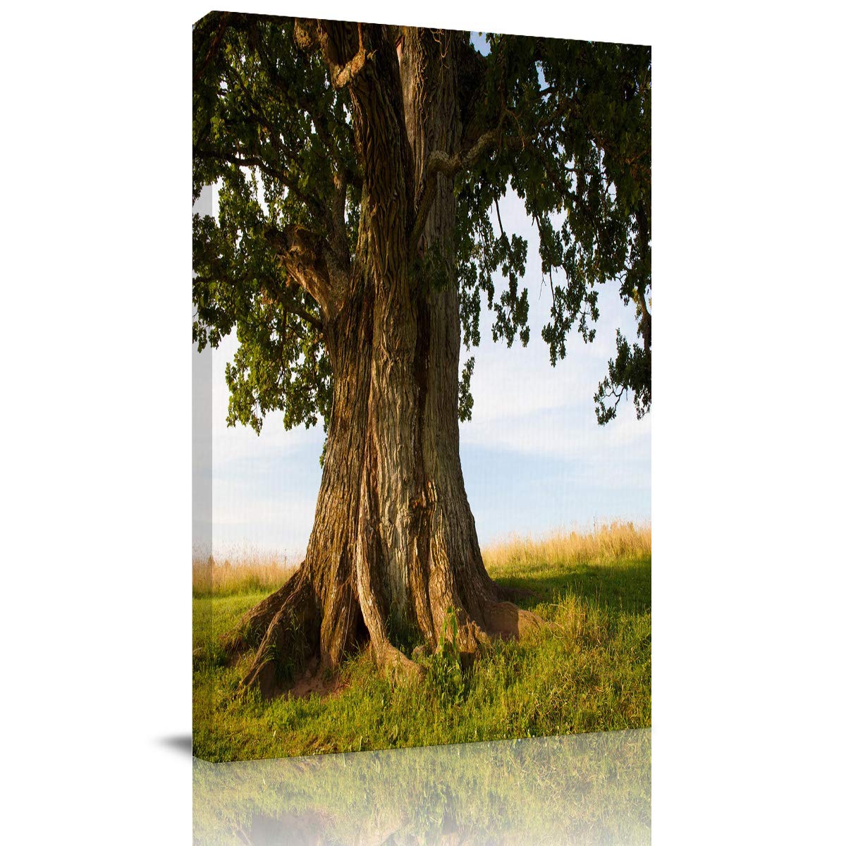 Abstract Canvas Wall Art - Framed Great Trees Dusk Meadow Blue Sky Clouds Painting Print, Ready to Hang 8x12 Inch, Perfect for Bedroom Bathroom Kitchen Office Decor, Housewarming Gift Idea | Nature Landscape Wall Decor for Living Room & Home Interior Design