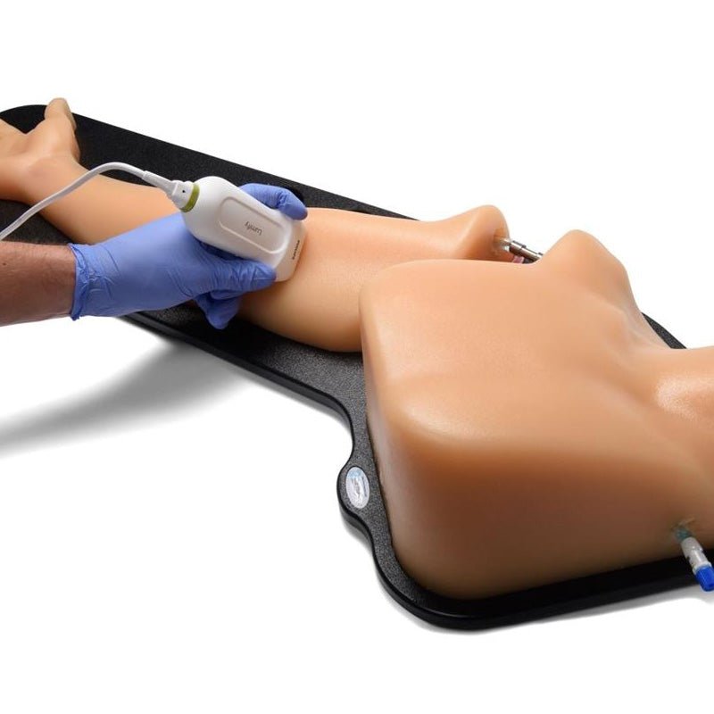 Gen II PICC with IV & Arterial Line Vascular Access Ultrasound Trainer - Medical Simulation for Ultrasound Guided PICC Insertion, X-Ray Positioning Practice & IV Therapy Training