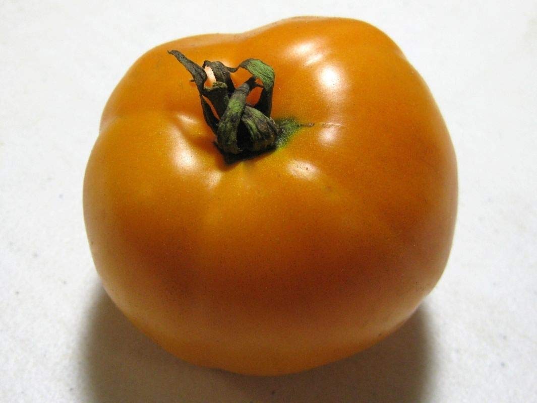 Premium Persimmon Fruit Seeds - Sweet & Flavorful (25 Seeds) for Home Garden, Organic Farming & Fresh Fruit Lovers