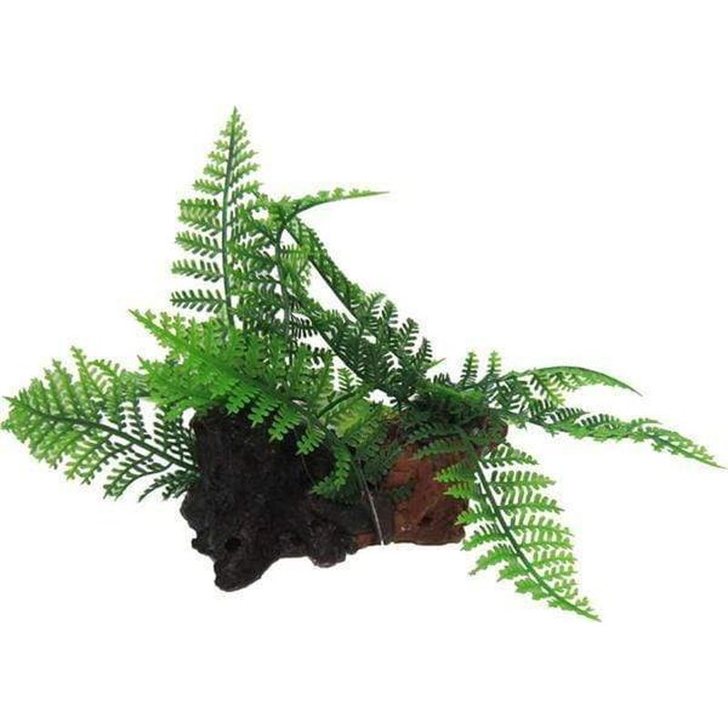 Amazon Jungle Twin Ferns on Log - Realistic Artificial Fern Plants for Home & Office Decor - Perfect for Terrariums, Indoor Gardens, and Tropical Themed Spaces