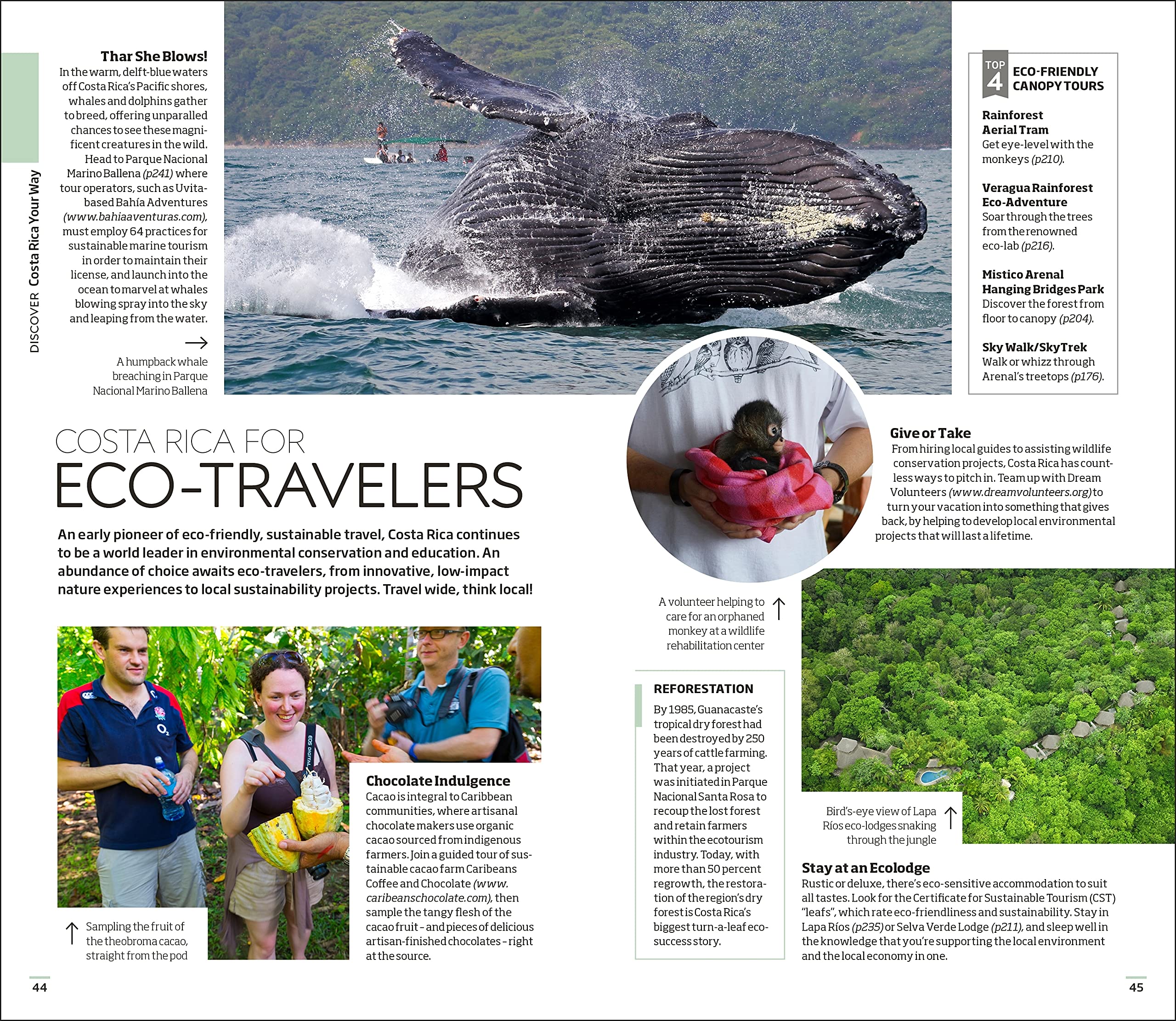 DK Eyewitness Costa Rica Travel Guide - Explore Rainforests, Beaches & Wildlife | Perfect for Adventure & Eco-Tourism Vacations