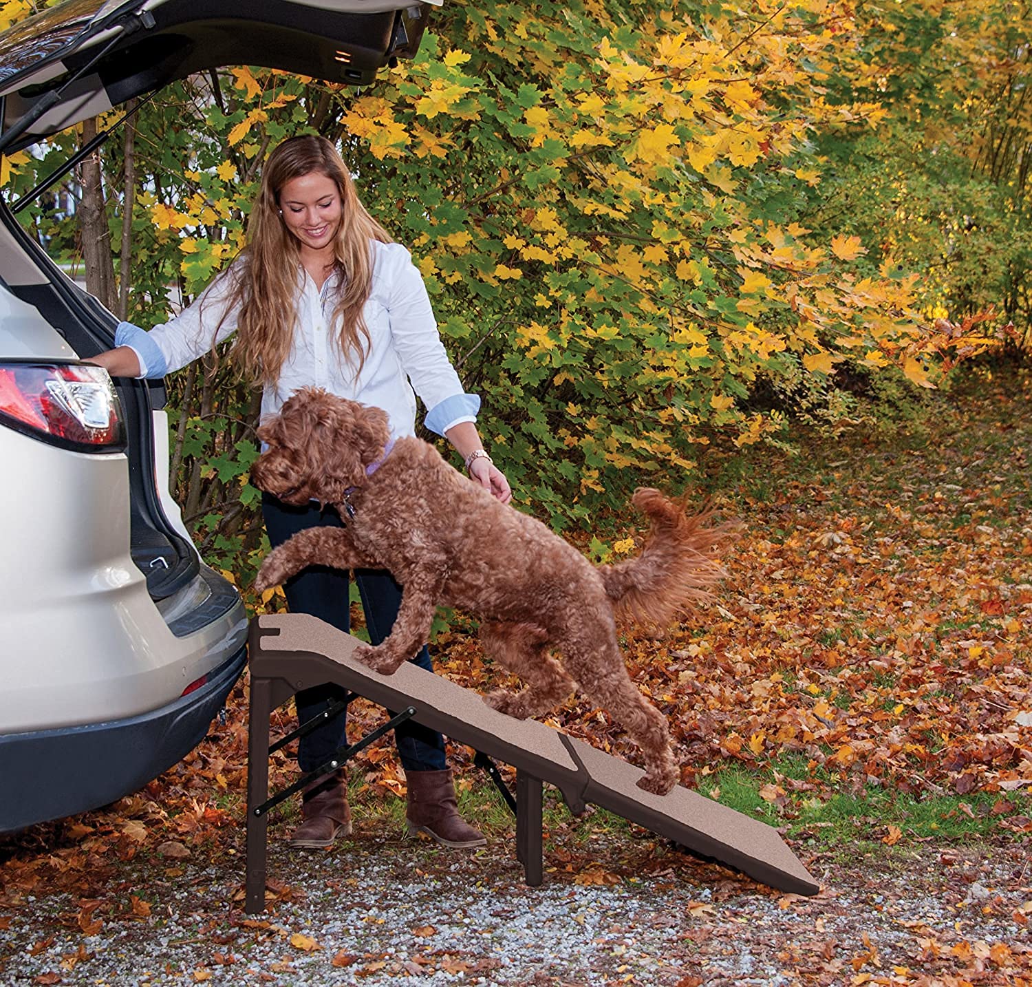 Pet Gear Free Standing Pet Ramp for Cats & Dogs - No Assembly Required, Foldable & Portable for Easy Storage & Travel - 6 Size Options - Perfect for Home, Car & Vet Visits