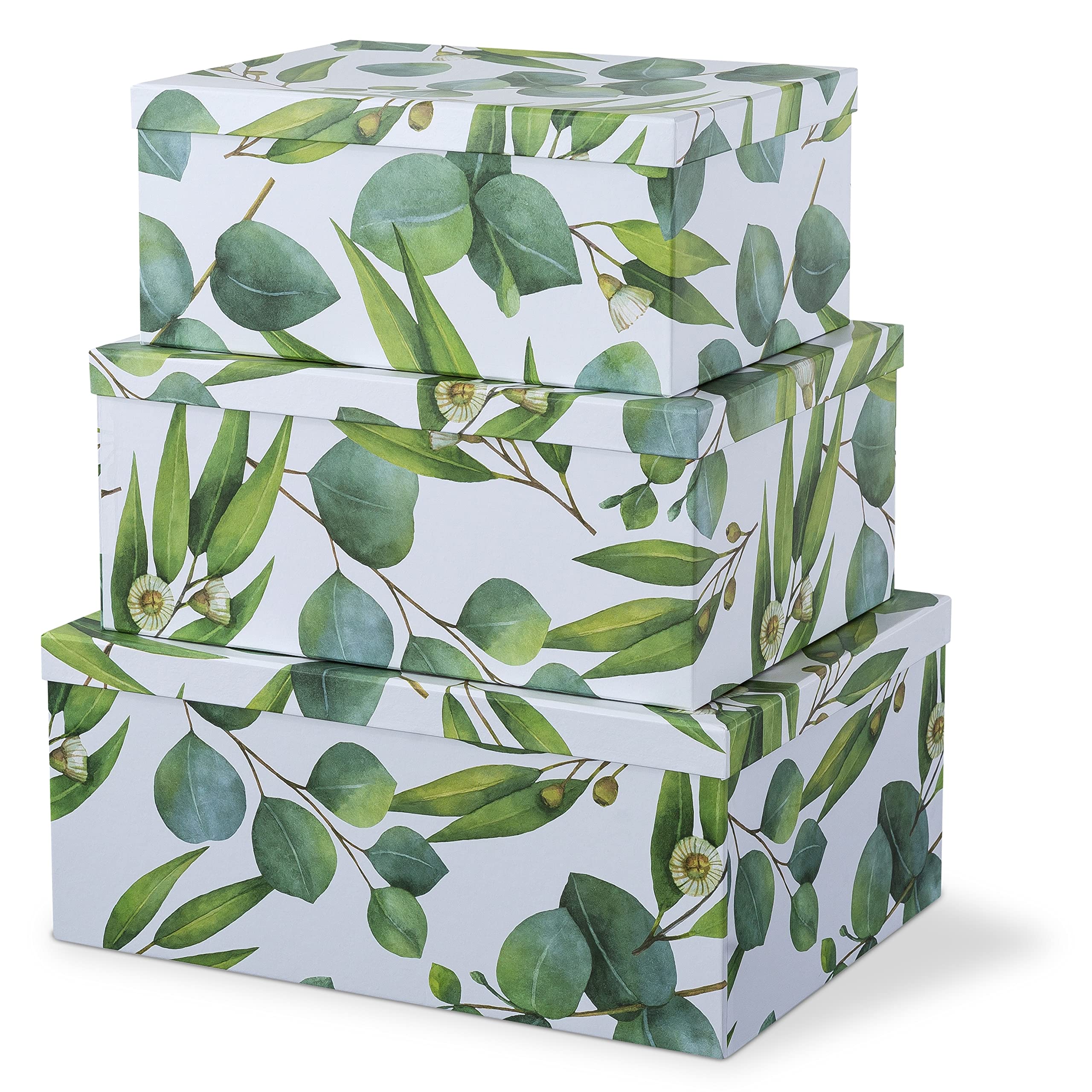 Decorative Cardboard Storage Boxes with Lids - Set of 3 Large Floral Keepsake Organizers for Home Decor, Photos, Gifts & Memories | Nesting Design with Green Sprigs Pattern | Perfect for Bedroom, Living Room & Office Organization