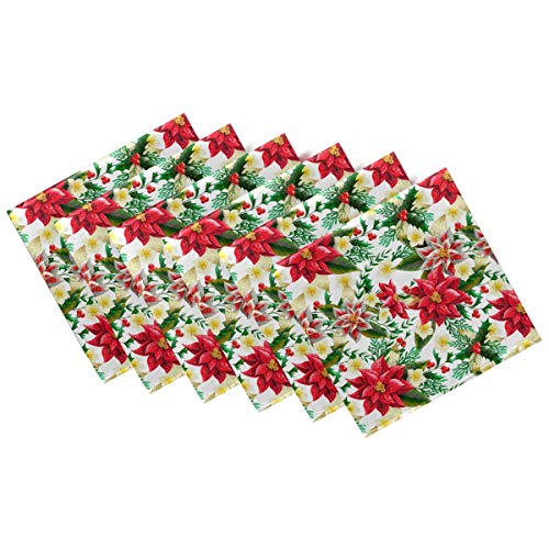 Poinsettia
