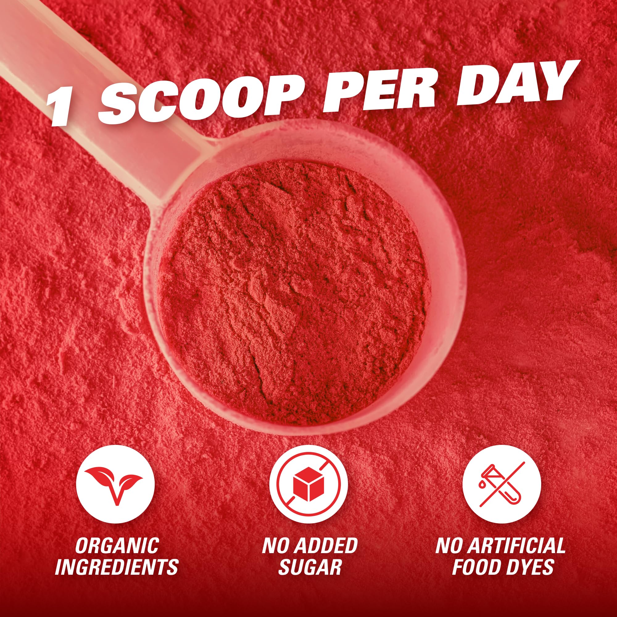EHP Labs OxyReds Superfood Beets Powder - Nitric Oxide Booster, Organic Beet Root Powder for Immune Support & Digestive Health, Prebiotic Supplement with Fruit Xplosion Flavor, 30 Servings - Perfect for Smoothies, Energy Drinks & Post-Workout Recovery