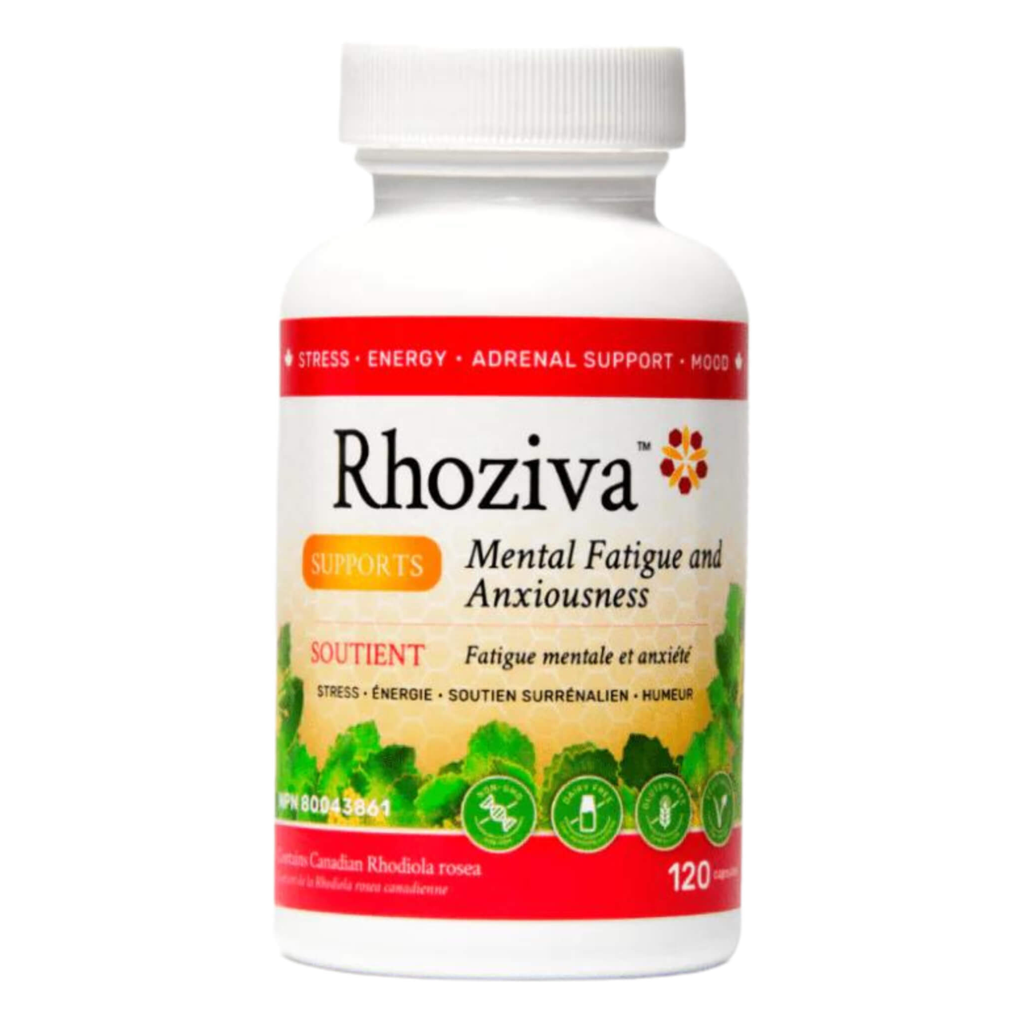 Rhoziva Rhodiola Rosea Extract 100mg Capsules - Natural Stress Relief & Energy Booster Supplement for Focus, Mood & Performance | Vegan, Non-GMO | Perfect for Work, Study & Fitness