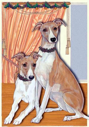 Pipsqueak Whippet Christmas Cards - 10 Festive Holiday Greeting Cards with Envelopes - Cute Dog Themed Christmas Stationery for Family, Friends & Coworkers - Perfect for Holiday Wishes, Office Gifts & Seasonal Greetings