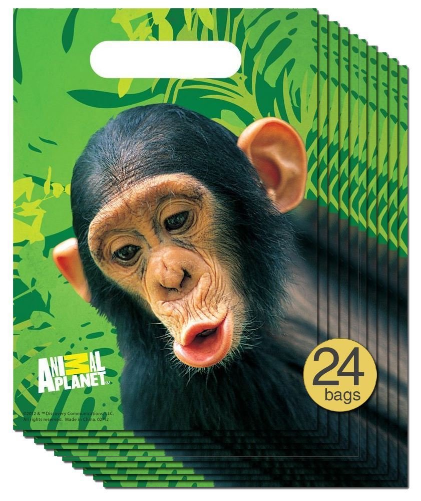 24-Pack Jungle Safari Zoo Animal Party Treat Bags - Bulk Wholesale Loot Bags for Kids Birthday, Baby Shower & Themed Events - Perfect for Goodie Bags, Candy Favors & Classroom Rewards