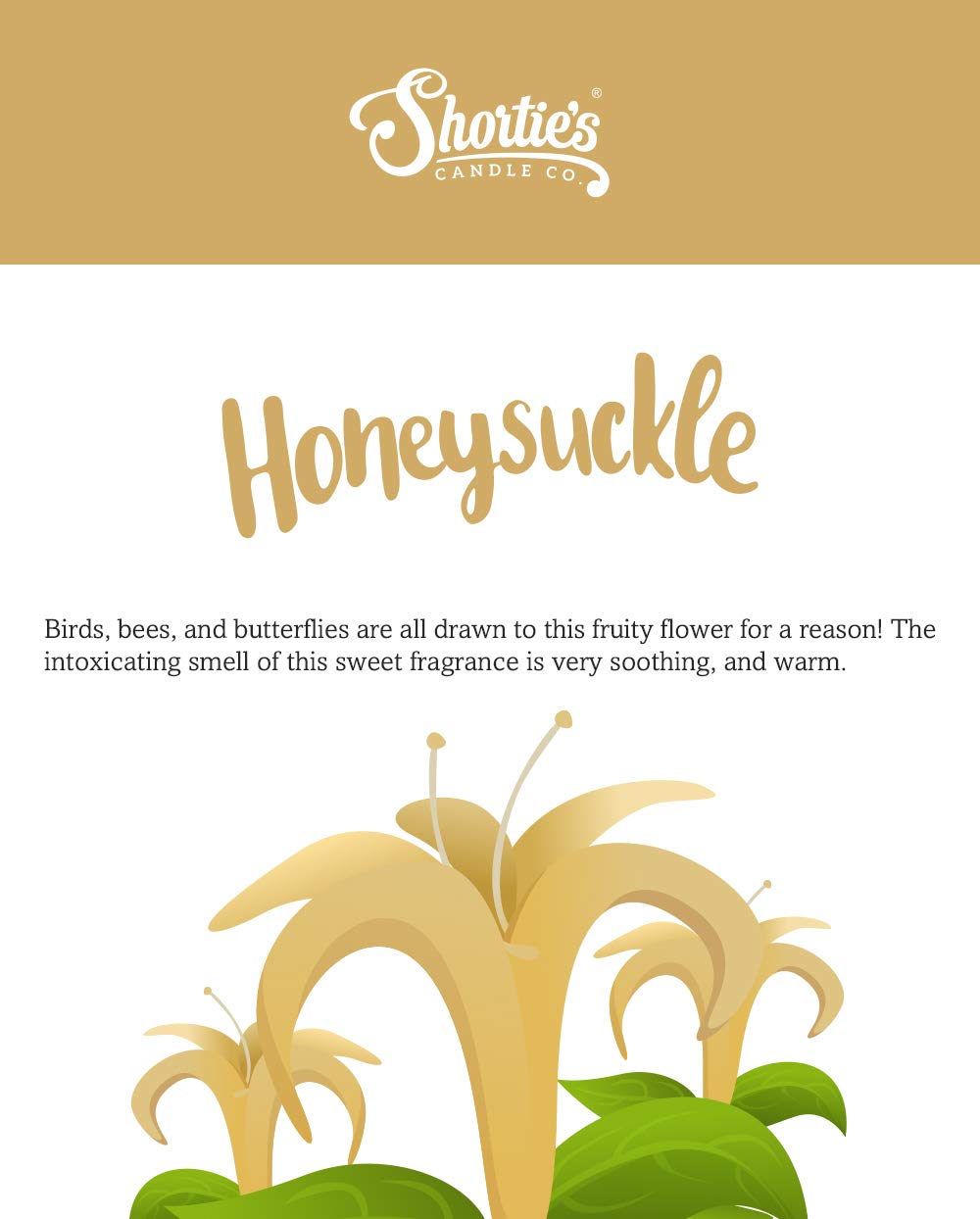 Pure Honeysuckle scented soy votive candles - 6 pack natural white refills with essential oils - floral home decor for relaxation & aromatherapy