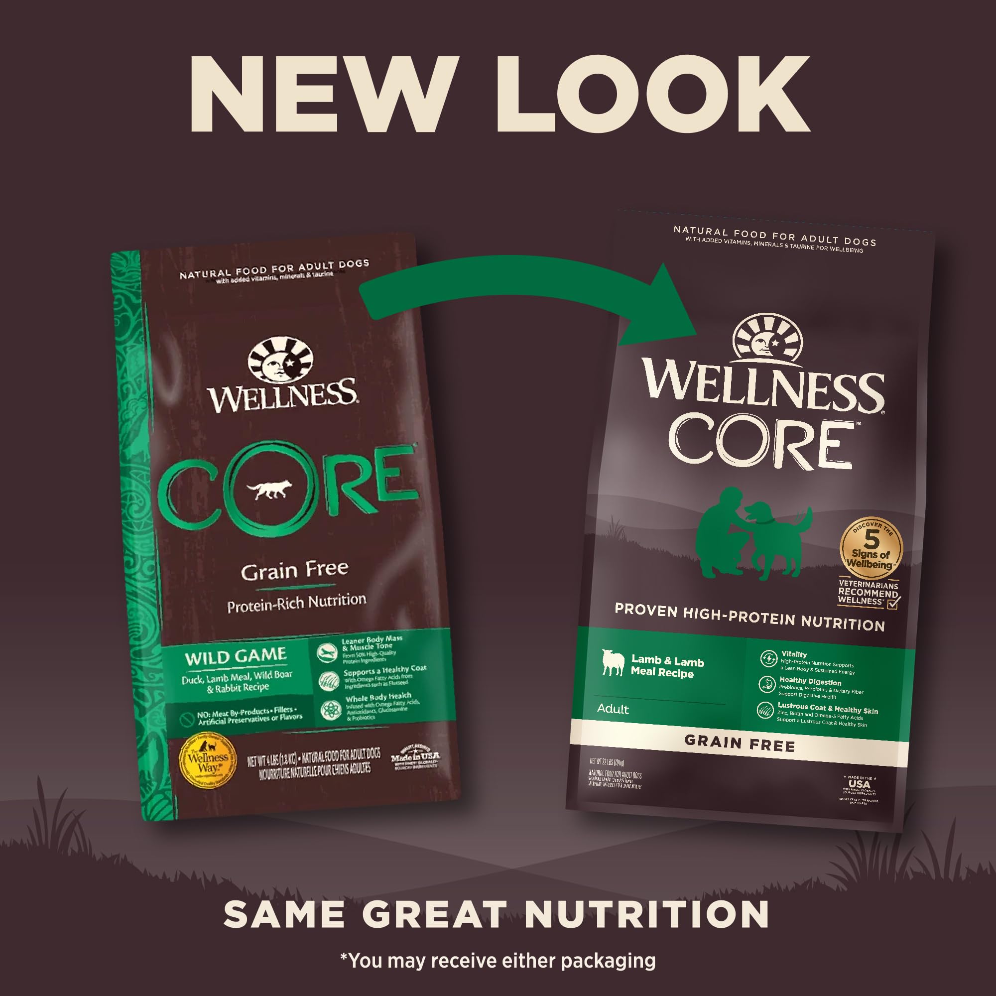 Wellness CORE Grain-Free High-Protein Dry Dog Food for Adult Dogs - Natural Ingredients with Real Lamb, Made in USA - All Breed Sizes (22lb Bag) - Perfect for Active Dogs & Weight Management