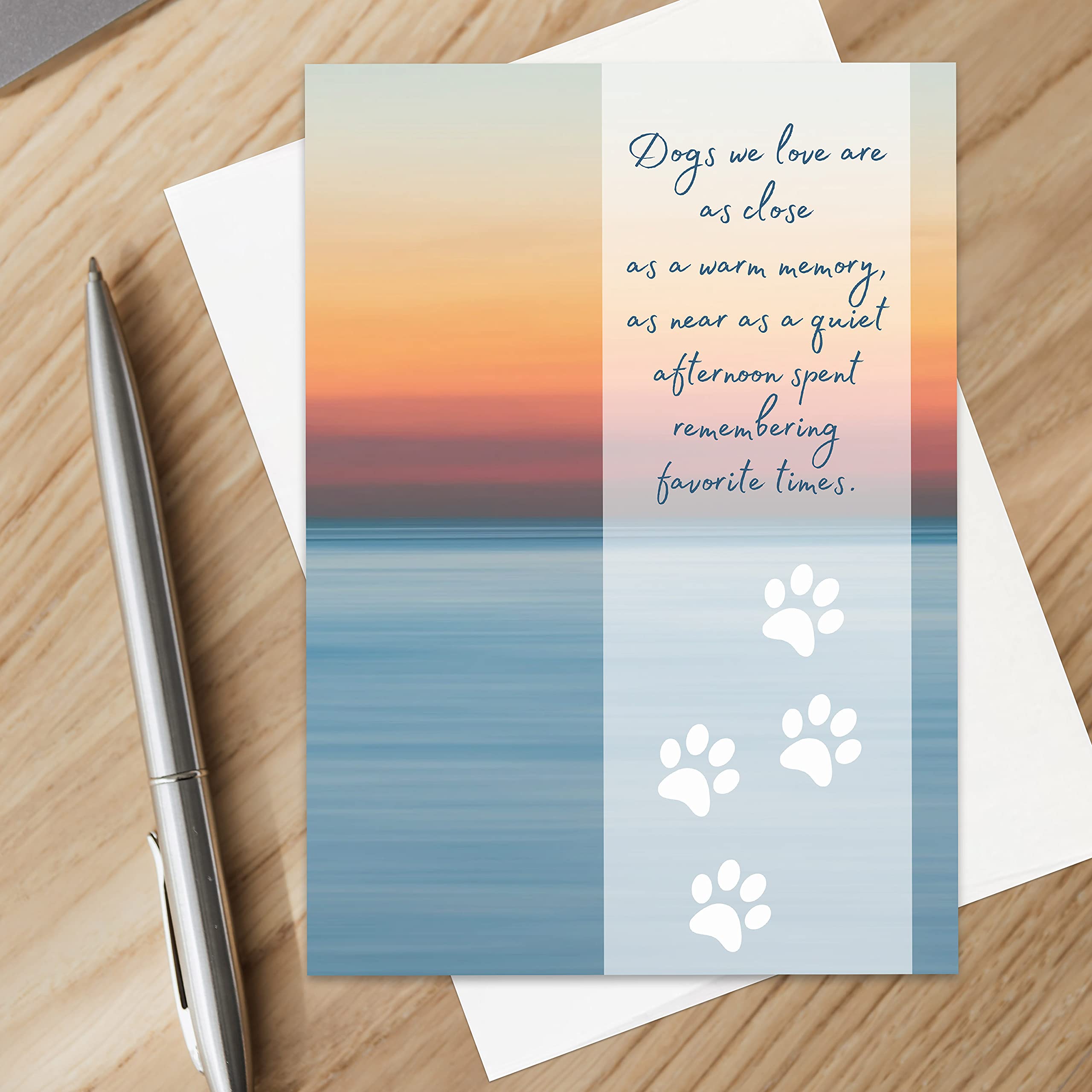 Christian Pet Loss Sympathy Cards - Pack of 12 for Dogs & Cats - Comforting Gifts for Bereaved Pet Owners