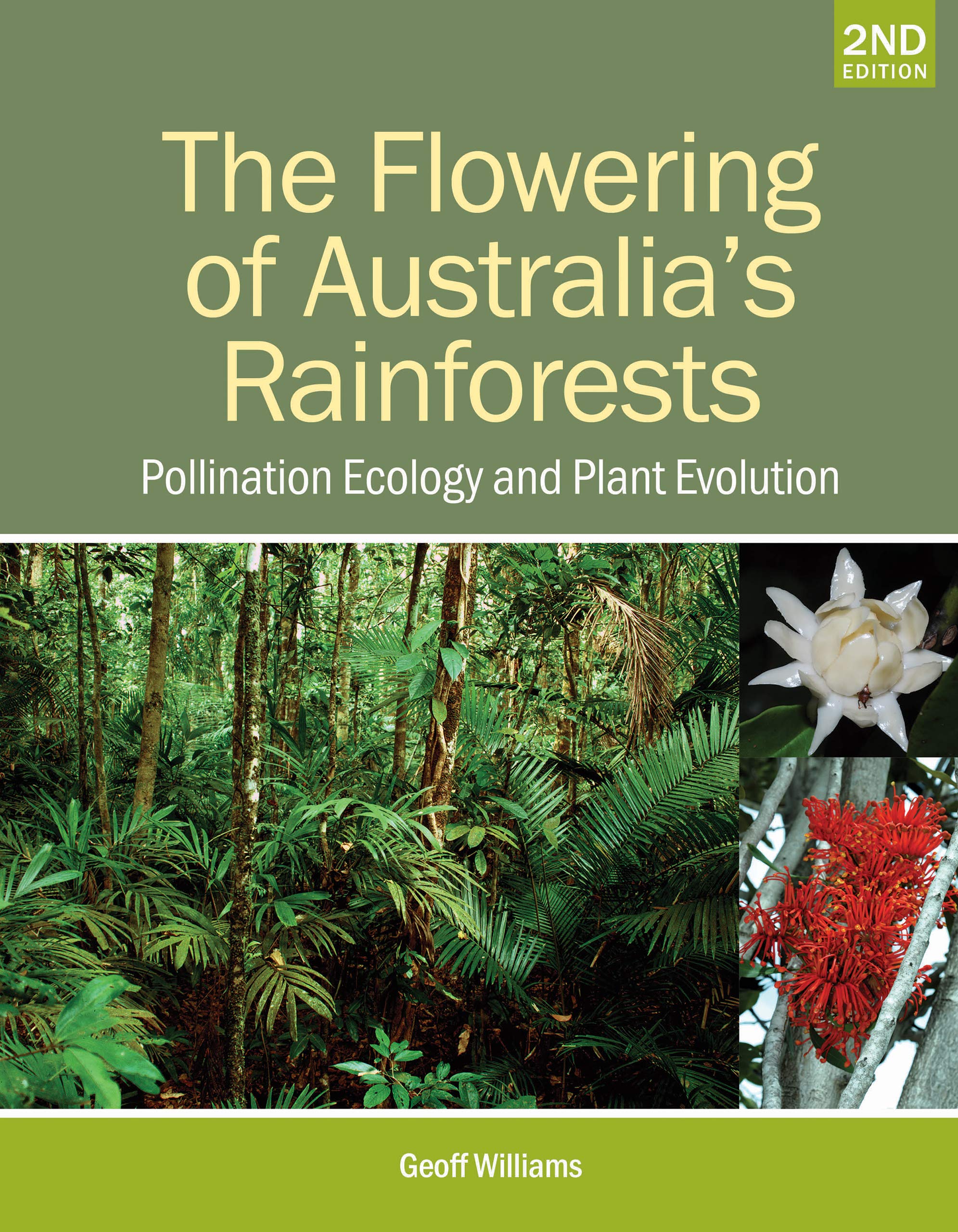 Pollination Ecology & Plant Evolution in Australia's Rainforests | Flowering Plants Guide for Gardeners & Botanists