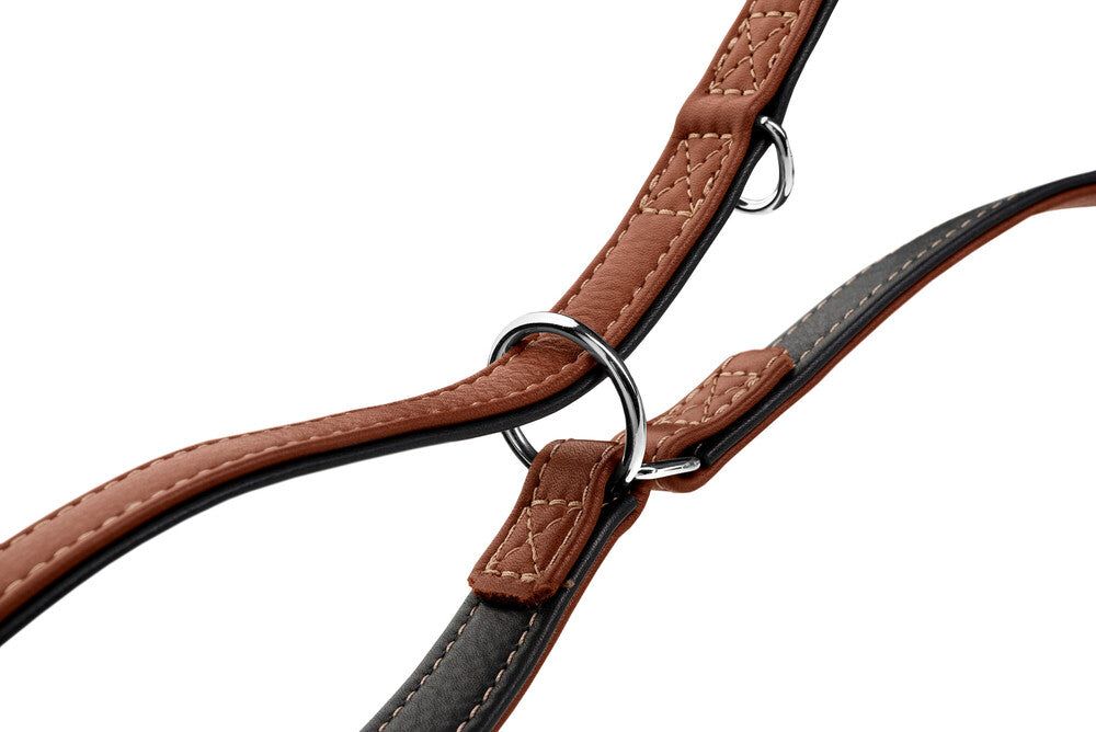 HUNTER UP Adjustable Dog Training Leash - Flat Design for Canadian Pets - Perfect for Obedience Training, Walking & Outdoor Adventures