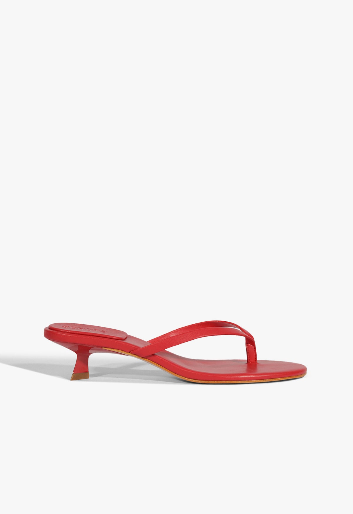 Carolyn Nappa Leather Sandals with Low Heel (2.5