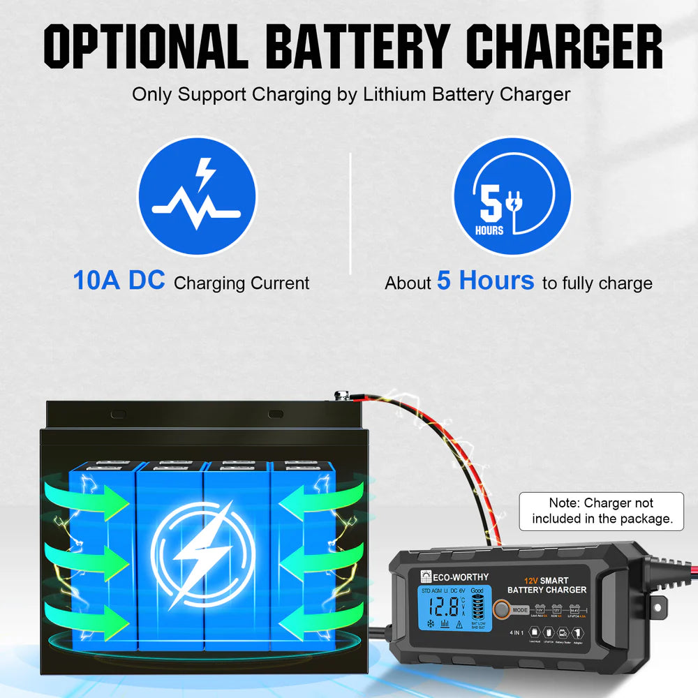ECO WORTHY 12V 50Ah LiFePO4 Lithium Iron Phosphate Battery - Perfect for Solar Power Systems, RVs, Marine & Off-Grid Applications