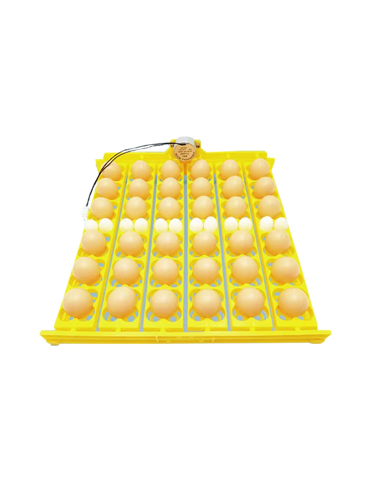 Automatic Egg Incubator Tray 110V - Durable Plastic Egg Turner for Chicken, Duck & Quail Eggs (Holds 36 Chicken or 156 Quail Eggs) - Perfect for Poultry Farming, Hatching Projects & Home Hatcheries