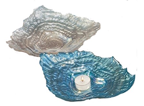 Blue and White Shells