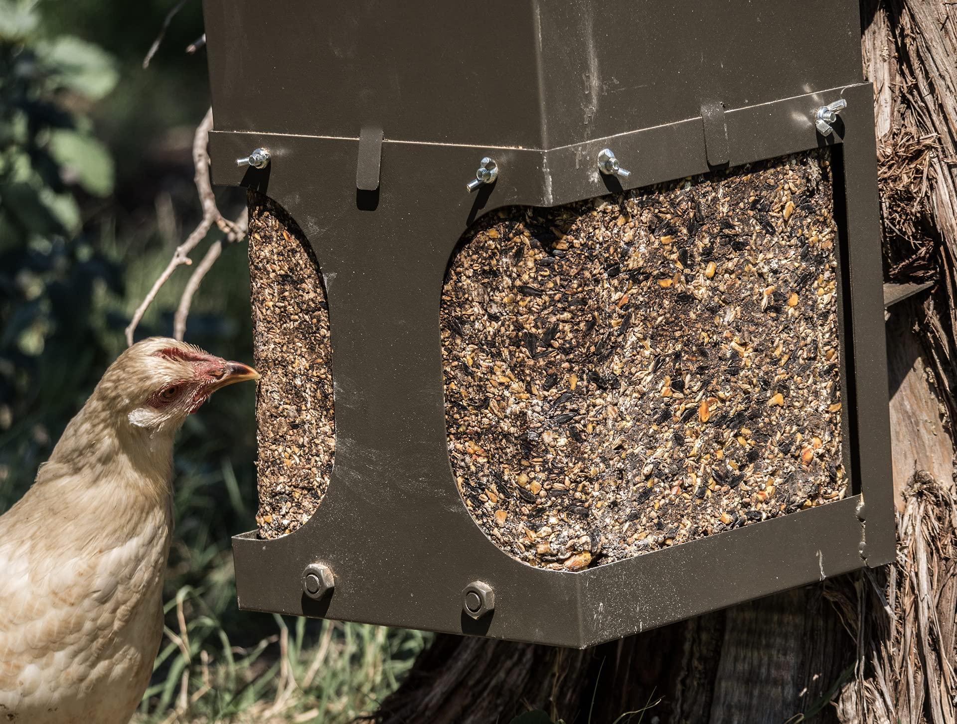 ASF All Seasons Feeders - EZ Block Deer Feeder & Wildlife Feed Station - Holds Salt, Mineral, Wormer & Feed Supplement Blocks - Perfect for Hunting, Wildlife Observation & Farm Animal Nutrition